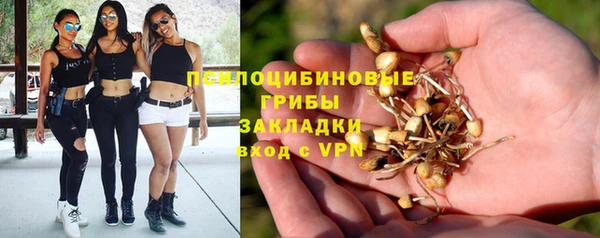 герыч Михайлов