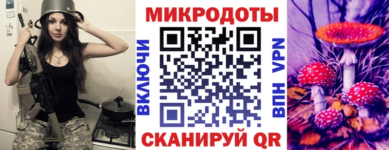нарко площадка как зайти Холмск Галлюциногенные грибы Psilocybe