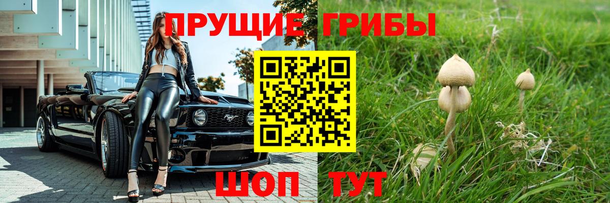 Галлюциногенные грибы GOLDEN TEACHER  Вход с VPN  Холмск 