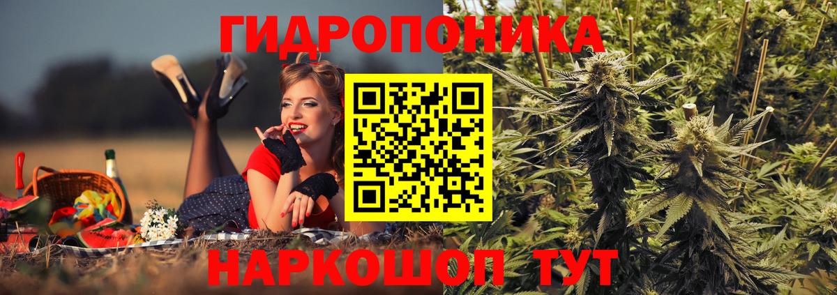 Бошки марихуана план  Бошки марихуана MAZAR  Каннабис MAZAR  Холмск  Вход с VPN 